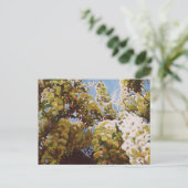 Bis zur Wisteria 2011 Postkarte (Stehend Vorderseite)