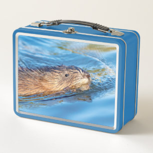 Bisamratte bei Vassar bewirtschaftet ökologische Metall Lunch Box