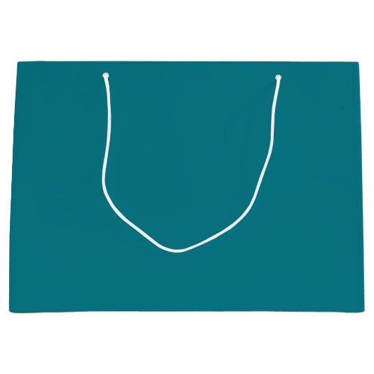 Biscay Bay Solid Color Große Geschenktüte (Vorderseite)