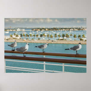 Biscayne Bay auf dem Deck des Kreuzfahrtschiffes Poster