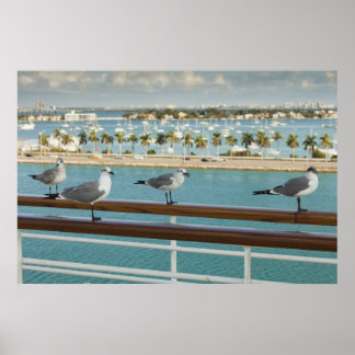 Biscayne Bay auf dem Deck des Kreuzfahrtschiffes Poster