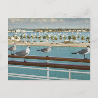 Biscayne Bay auf dem Deck des Kreuzfahrtschiffes Postkarte