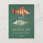 Biscayne Bay Florida Fisch Postkarte (Vorderseite)
