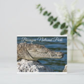 Biscayne Bay Park  Miami Beach Florida Postcard Postkarte (Stehend Vorderseite)