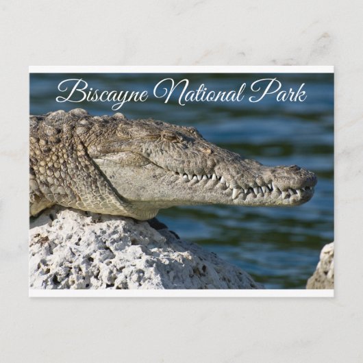 Biscayne Bay Park Miami Beach Florida Postcard Postkarte (Vorderseite)