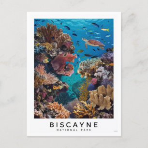 Biscayne National Park Coral Postkarte
