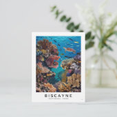 Biscayne National Park Coral Postkarte (Stehend Vorderseite)