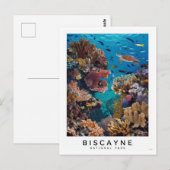 Biscayne National Park Coral Postkarte (Vorne/Hinten)
