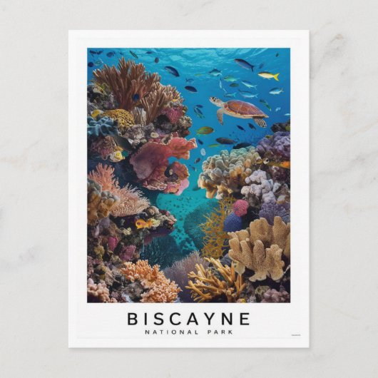 Biscayne National Park Coral Postkarte (Vorderseite)