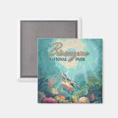 Biscayne Nationalpark Florida Schildkrötenkoralle Magnet (Vorderseite/Rückseite)