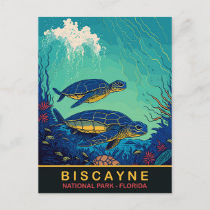 Biscayne, Schildkröten Unterwasser, Florida, Reise Postkarte
