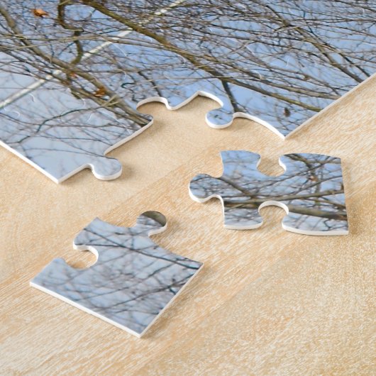 Bischof Matthew Simpson Philadelphia. Puzzle (Seite)