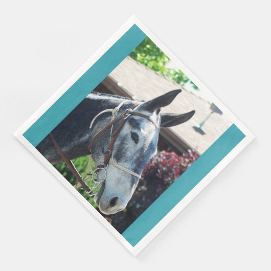 Bischof Mule Days Parade 2018 Serviette (Ecke)