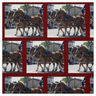 Bischofs-Maultier-Tage 2018 Stoff