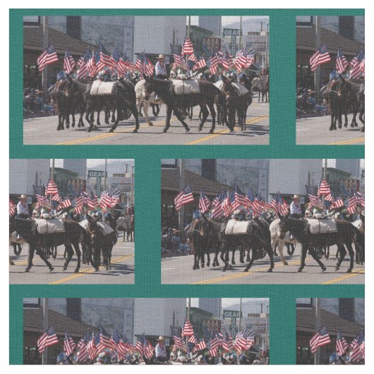 Bischofs-Maultier-Tage 2018 Stoff (Nahaufnahme)