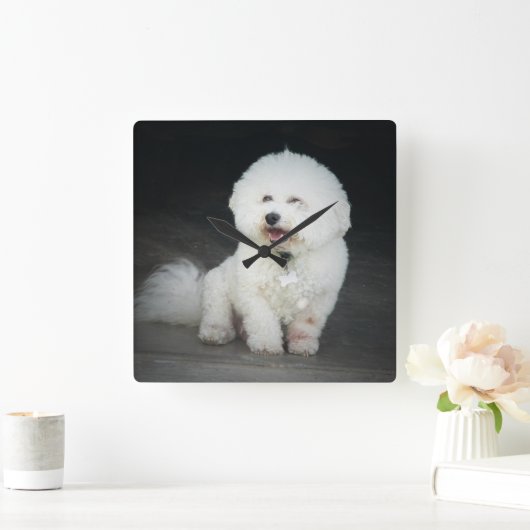 Bischon Frise Wall Clock Quadratische Wanduhr (Zuhause)
