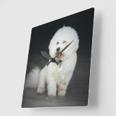 Bischon Frise Wall Clock Quadratische Wanduhr (Winkel)