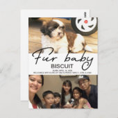 Biscuit - willkommen postkarte (Vorne/Hinten)