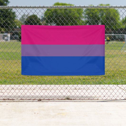 Bisexual Pride Flag Banner (Insitu)