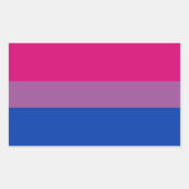 Bisexual Pride Flag Rechteckiger Aufkleber (Vorderseite)