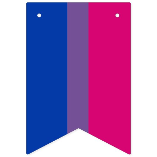 Bisexual Pride Flag Wimpelkette (Zweite Fahne)