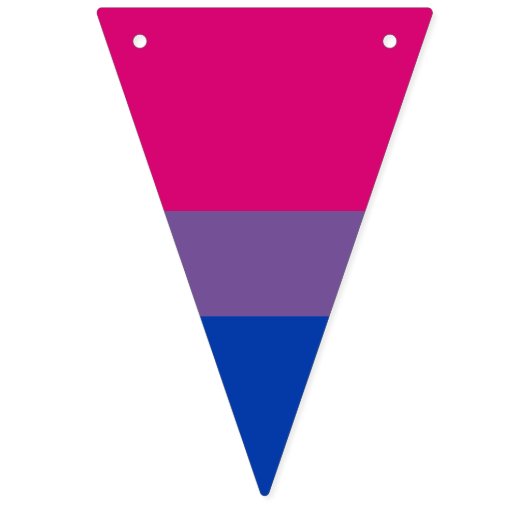 Bisexuality pride flag banner Bunting Flags (Dritte Fahne)