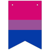 Bisexuelle Flagge & Prix Community Party/Geschlech (Zweite Fahne)