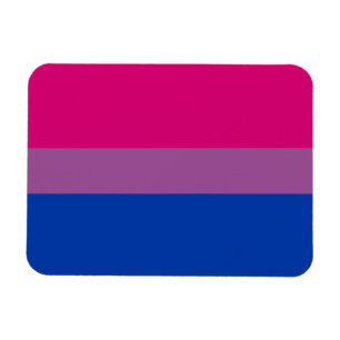 Bisexuelle Pride-Flagge Magnet