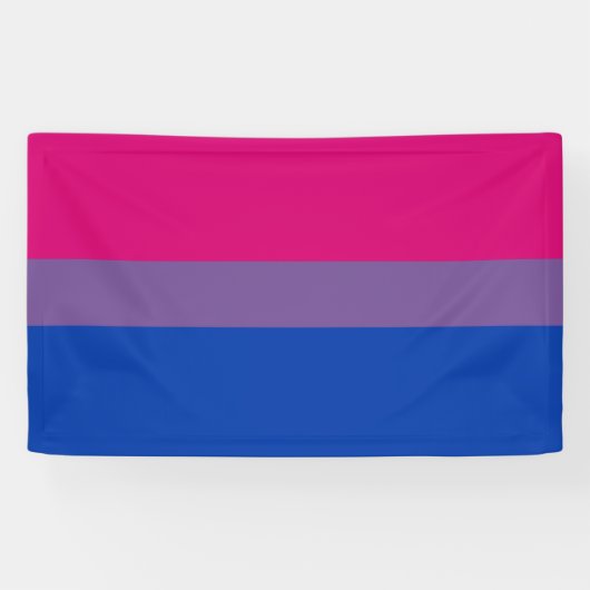 Bisexuelle Stolperflagge Banner (Horizontal)