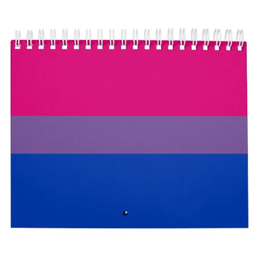 Bisexuelle Stolperflagge Kalender (Titelbild)