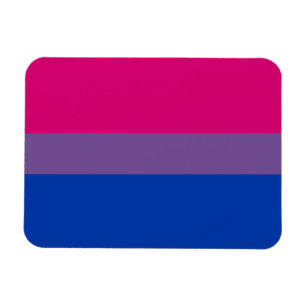 Bisexuelle Stolperflagge Magnet