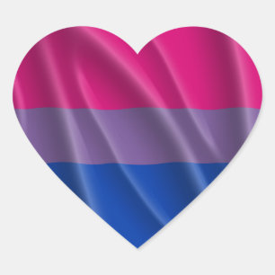 BISEXUELLE STOLZ-FLAGGEN-GEWELLTER ENTWURF - 2014 Herz-Aufkleber