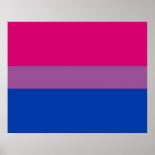 Bisexueller Stolz (Bi-Flagge) Poster