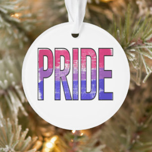 Bisexueller Stolz-Wort Ornament