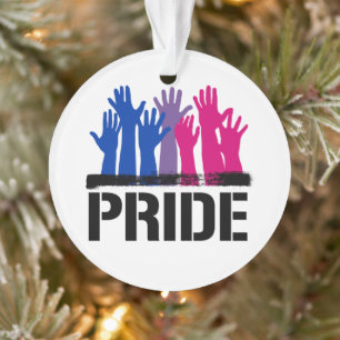 Bisexueller Stolz Zusammen Ornament