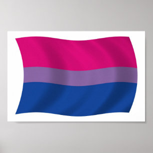 Bisexuelles Stolzflagge Poster Druck