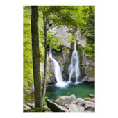 Bish Bash Falls in Bish Bash Falls Staat Park Fotodruck (Vorne)