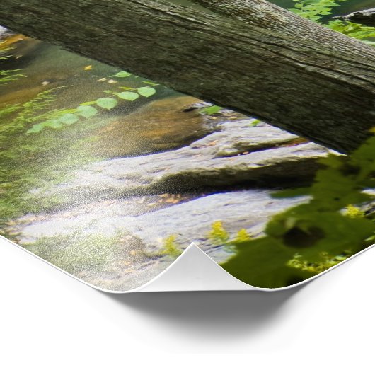 Bish Bash Falls in Bish Bash Falls Staat Park Fotodruck (Ecke)