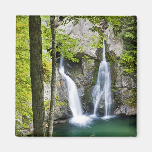 Bish Bash Falls in Bish Bash Falls Staat Park Magnet (Vorne)