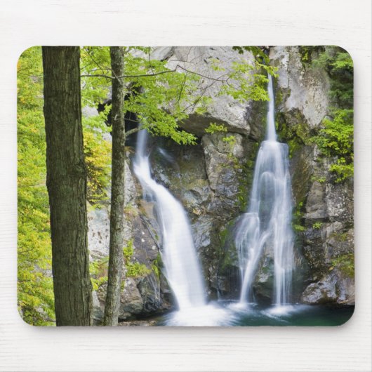 Bish Bash Falls in Bish Bash Falls Staat Park Mousepad (Vorne)