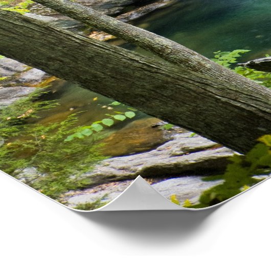 Bish Bash Falls in Bish Bash Falls Staat Park Poster (Ecke)