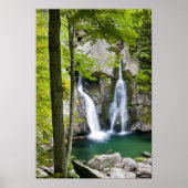 Bish Bash Falls in Bish Bash Falls Staat Park Poster (Vorne)