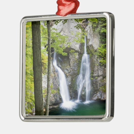Bish Bash Falls in Bish Bash Falls Staat Park Silbernes Ornament (Links)