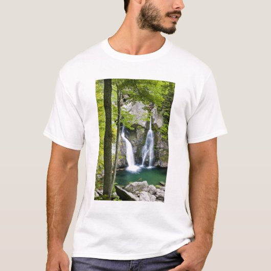 Bish Bash Falls in Bish Bash Falls Staat Park T-Shirt (Vorderseite)
