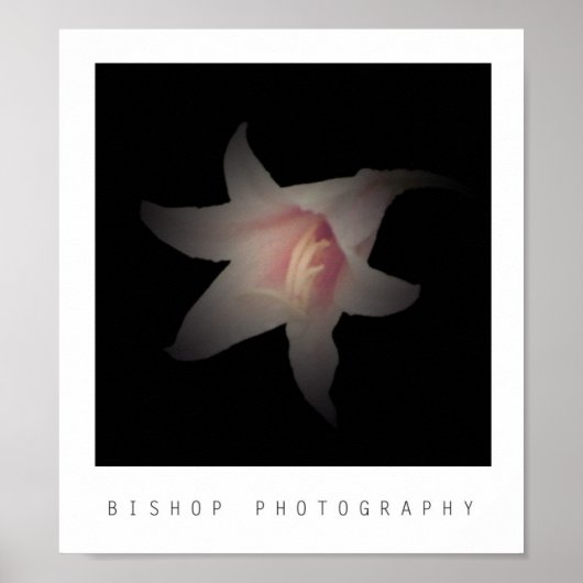 Bishop Fotografie Poster (Vorne)