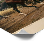 Bismarck und Napoleon Poster (Ecke)