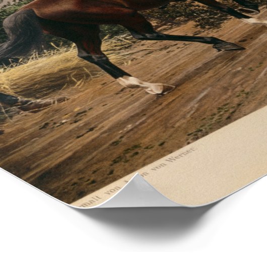 Bismarck und Napoleon Poster (Ecke)