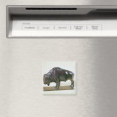 Bison, 1907 magnet (In Situ (Geschirrspüler))