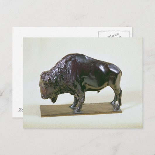 Bison, 1907 postkarte (Vorne/Hinten)