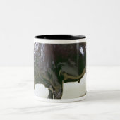 Bison, 1907 zweifarbige tasse (Mittel)
